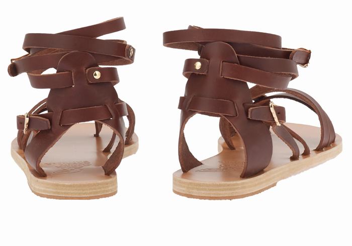 Coffee Ancient Greek Sandals Satira Leather Women Gladiator Sandals | JJQ9092CA