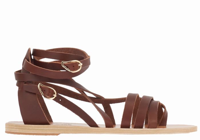 Coffee Ancient Greek Sandals Satira Leather Women Gladiator Sandals | JJQ9092CA