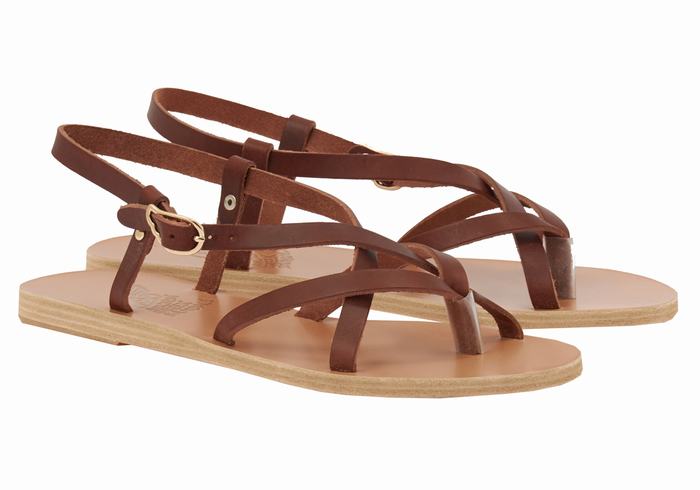 Coffee Ancient Greek Sandals Semele Leather Women Back-Strap Sandals | UGU2675XD