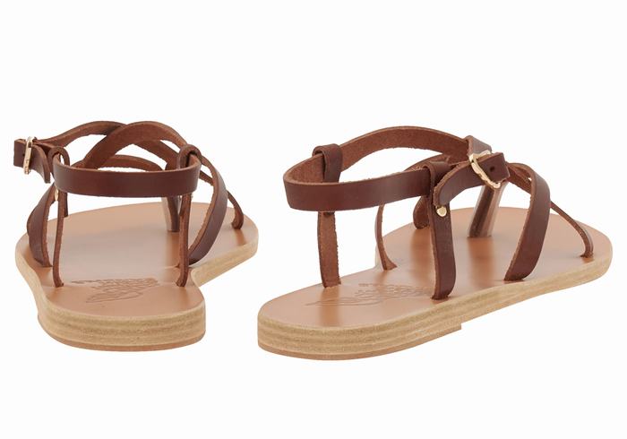 Coffee Ancient Greek Sandals Semele Leather Women Back-Strap Sandals | UGU2675XD