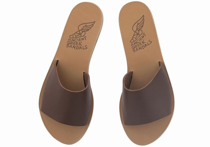 Coffee Ancient Greek Sandals Taygete Women Slide Sandals | CPS2577KQ