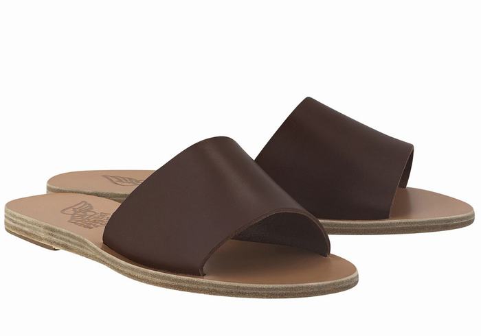 Coffee Ancient Greek Sandals Taygete Women Slide Sandals | CPS2577KQ