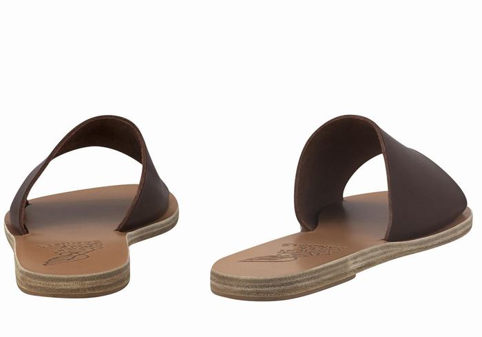 Coffee Ancient Greek Sandals Taygete Women Slide Sandals | CPS2577KQ