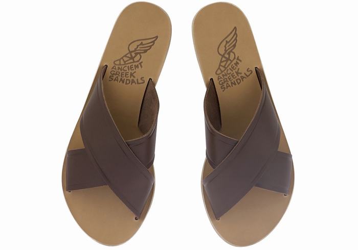 Coffee Ancient Greek Sandals Thais Women Slide Sandals | WAL3358QX