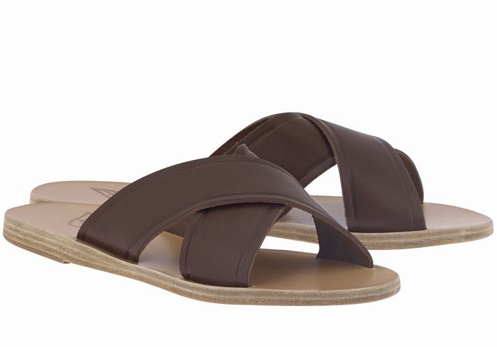 Coffee Ancient Greek Sandals Thais Women Slide Sandals | WAL3358QX