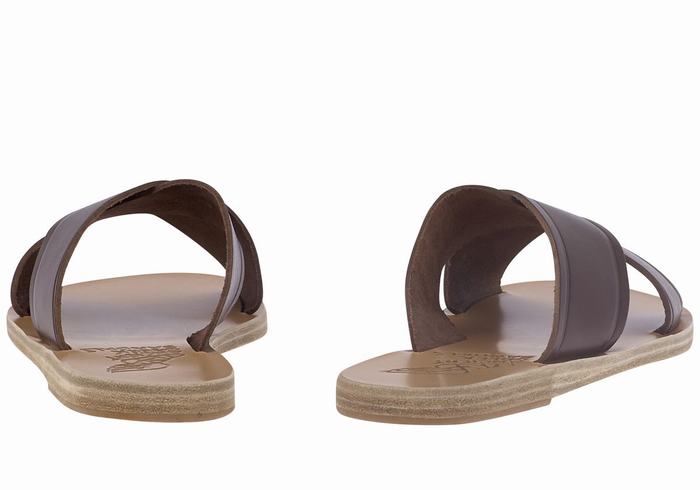 Coffee Ancient Greek Sandals Thais Women Slide Sandals | WAL3358QX