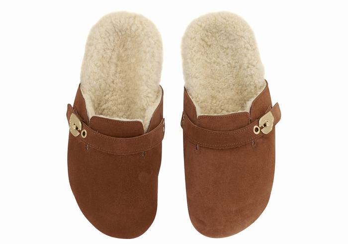 Coffee Ancient Greek Sandals Vasilitsa Women Slippers | OWR3845SZ