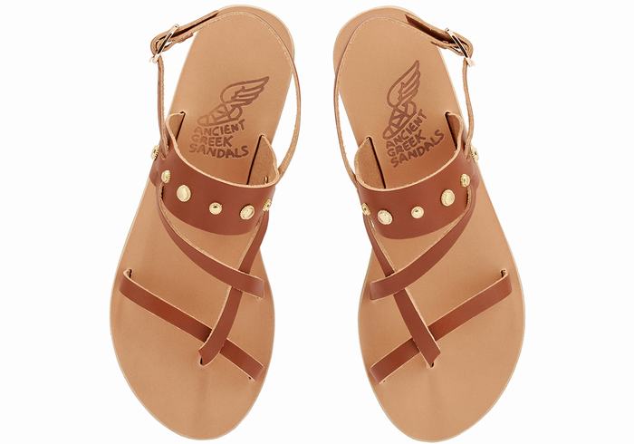 Dark Brown Ancient Greek Sandals Alethea Bee Women Back-Strap Sandals | JZZ1060MY