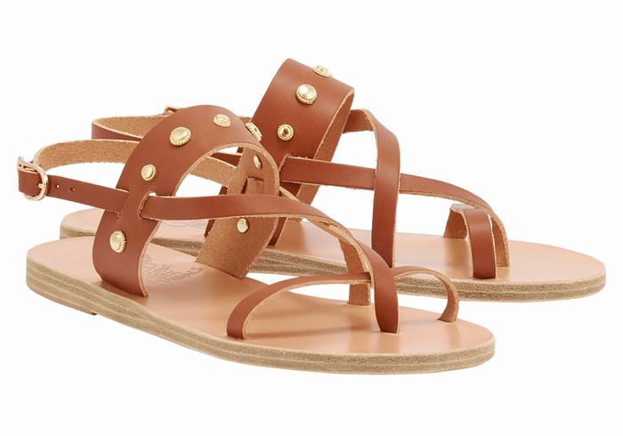 Dark Brown Ancient Greek Sandals Alethea Bee Women Back-Strap Sandals | JZZ1060MY