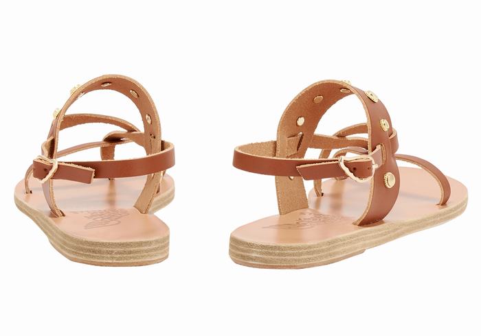 Dark Brown Ancient Greek Sandals Alethea Bee Women Back-Strap Sandals | JZZ1060MY