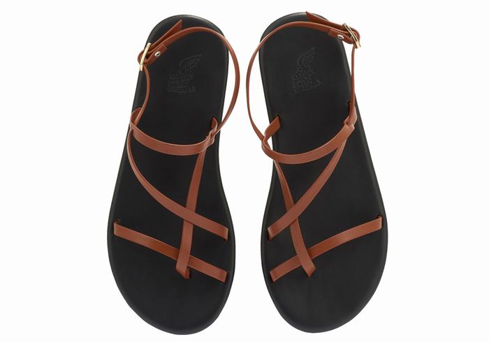 Dark Brown Ancient Greek Sandals Alethea Women Back-Strap Sandals | KMP5389RU