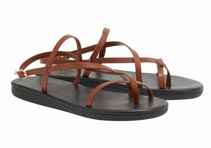 Dark Brown Ancient Greek Sandals Alethea Women Back-Strap Sandals | KMP5389RU