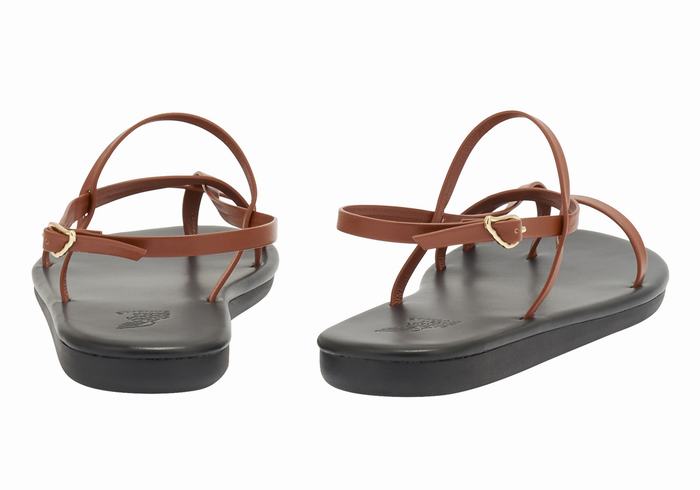 Dark Brown Ancient Greek Sandals Alethea Women Back-Strap Sandals | KMP5389RU