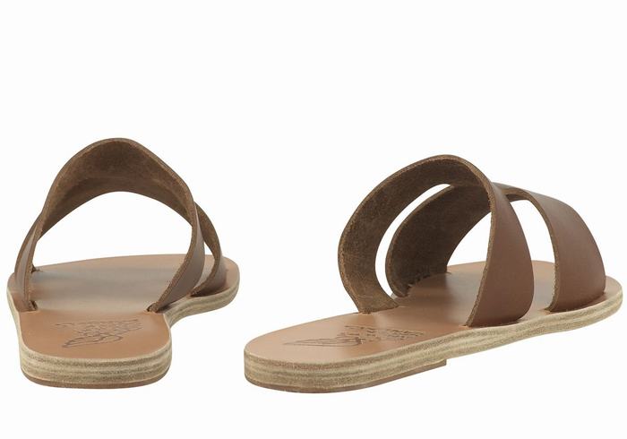 Dark Brown Ancient Greek Sandals Apteros Women Slide Sandals | AKK5231EP