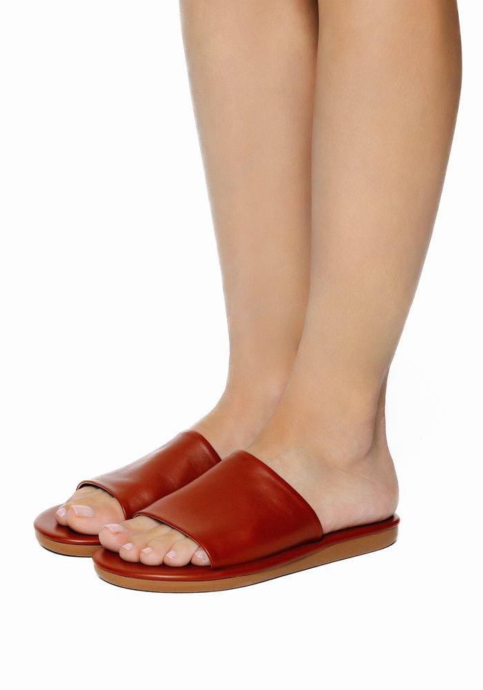 Dark Brown Ancient Greek Sandals Cerastes Women Slide Sandals | IIK2847IZ