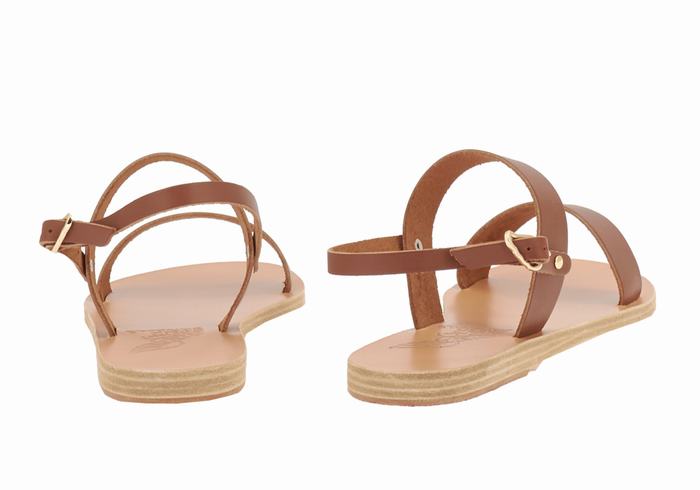 Dark Brown Ancient Greek Sandals Clio Women Back-Strap Sandals | FVD3442QN