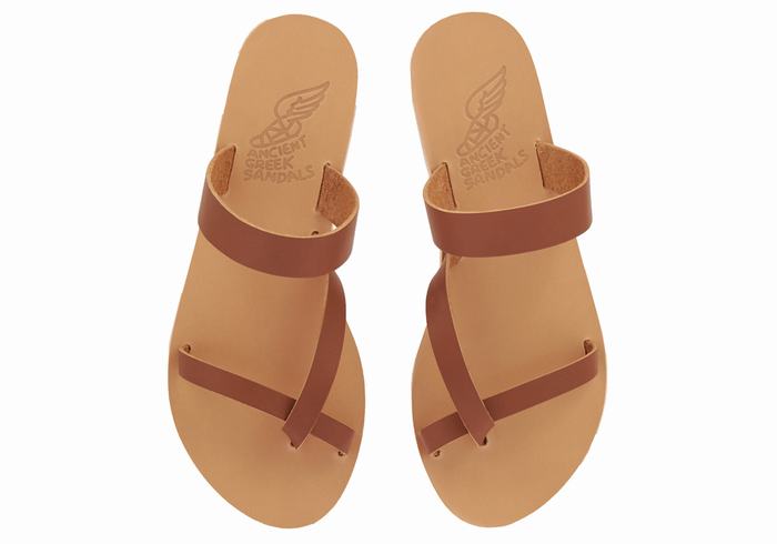 Dark Brown Ancient Greek Sandals Daphnae Leather Women Slide Sandals | FAC3411OX