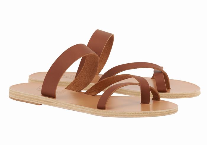 Dark Brown Ancient Greek Sandals Daphnae Leather Women Slide Sandals | FAC3411OX