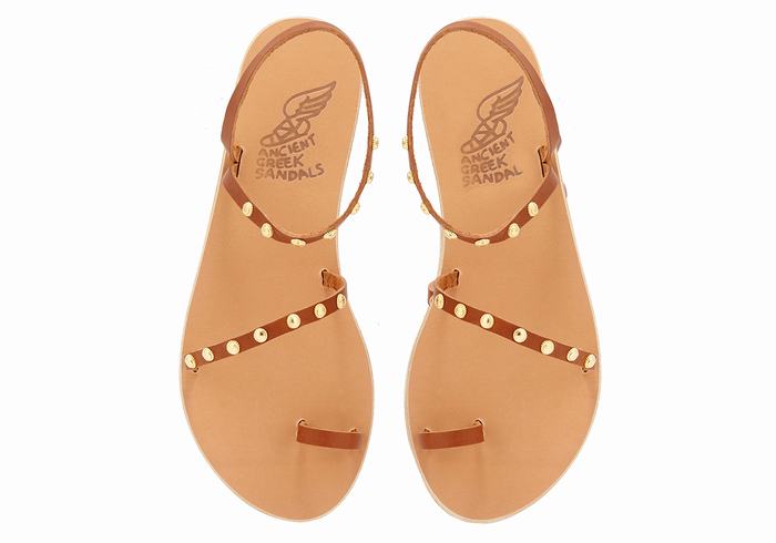 Dark Brown Ancient Greek Sandals Eleftheria Bee Women Toe-Post Sandals | XBM9052MT