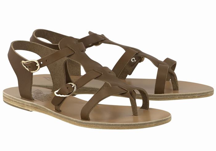 Dark Brown Ancient Greek Sandals Grace Kelly Leather Women Casual Sandals | MIK2488VY