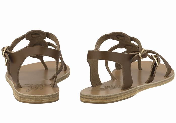 Dark Brown Ancient Greek Sandals Grace Kelly Leather Women Casual Sandals | MIK2488VY