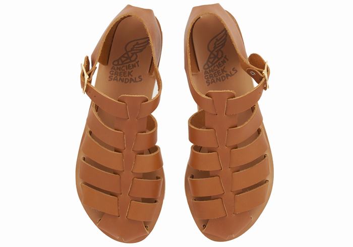 Dark Brown Ancient Greek Sandals Homeria Leather Women Fisherman Sandals | XSP8217ZN