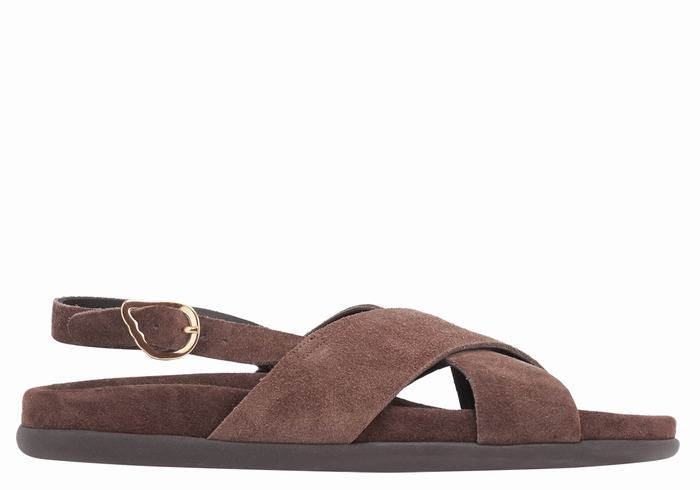 Dark Brown Ancient Greek Sandals Ikesia Women Casual Sandals | RPD4571KR