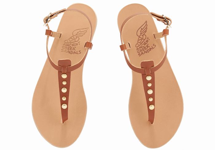 Dark Brown Ancient Greek Sandals Lito Bee Women Back-Strap Sandals | CBE339FO