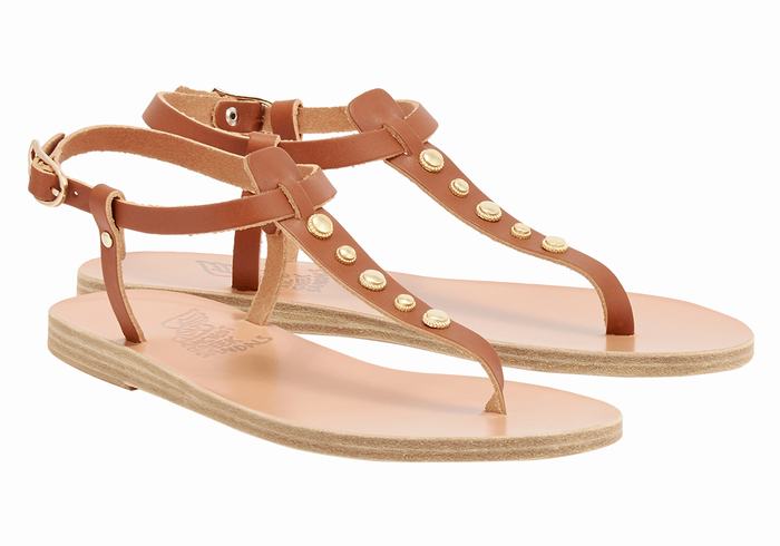 Dark Brown Ancient Greek Sandals Lito Bee Women Back-Strap Sandals | CBE339FO