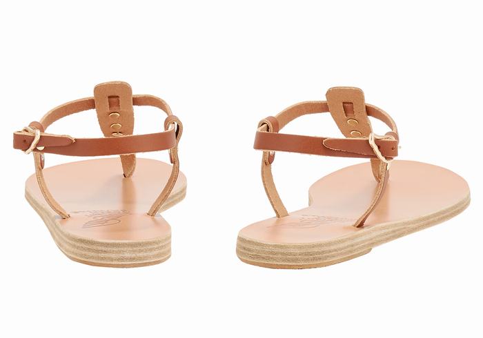 Dark Brown Ancient Greek Sandals Lito Bee Women Back-Strap Sandals | CBE339FO