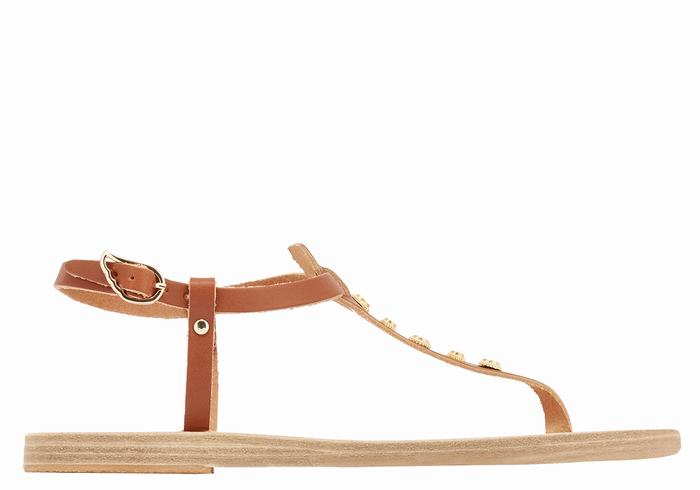 Dark Brown Ancient Greek Sandals Lito Bee Women Back-Strap Sandals | CBE339FO