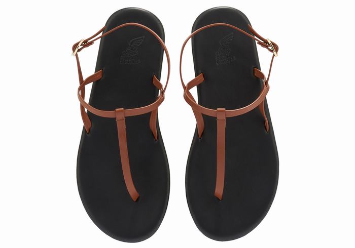 Dark Brown Ancient Greek Sandals Lito Flip Flop Women Back-Strap Sandals | TGL537XU