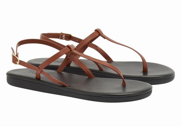 Dark Brown Ancient Greek Sandals Lito Flip Flop Women Back-Strap Sandals | TGL537XU