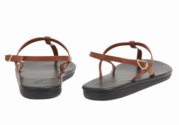 Dark Brown Ancient Greek Sandals Lito Flip Flop Women Back-Strap Sandals | TGL537XU