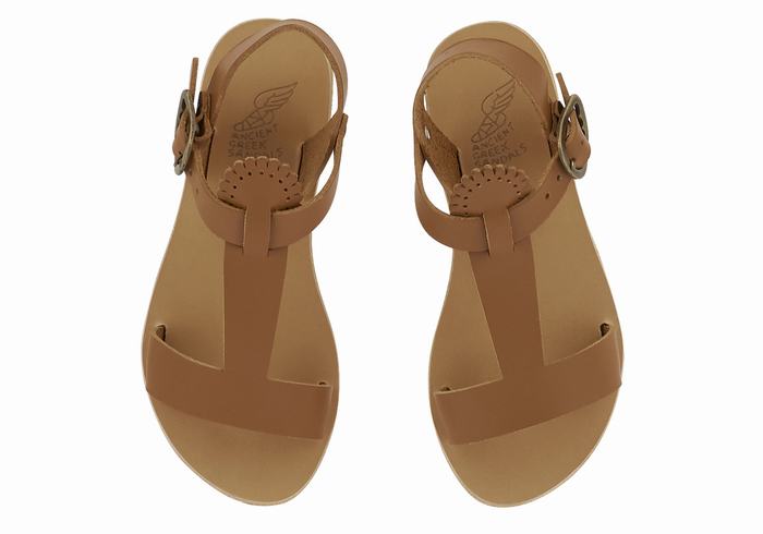 Dark Brown Ancient Greek Sandals Little Amber Soft Kids' Flat Sandals | WFZ2263UZ