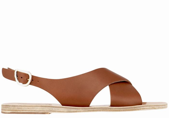 Dark Brown Ancient Greek Sandals Maria Leather Women Casual Sandals | TIN36YZ