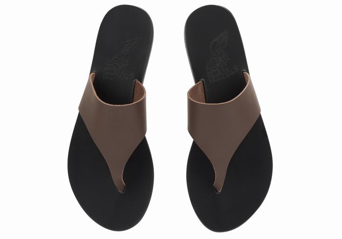 Dark Brown Ancient Greek Sandals Mera Leather Women Flip Flops | PAK9421AF