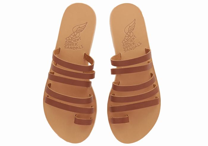 Dark Brown Ancient Greek Sandals Niki Leather Women Toe-Post Sandals | HQZ2265HJ