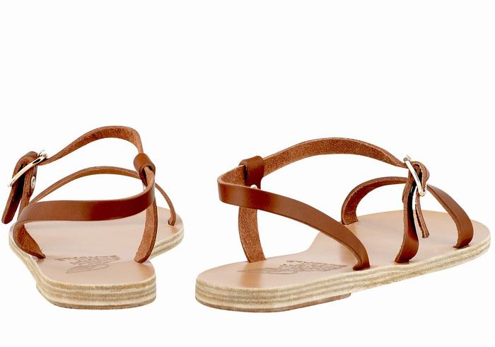 Dark Brown Ancient Greek Sandals Niove Leather Women Back-Strap Sandals | HSM7745ZR