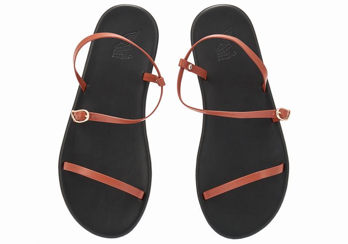 Dark Brown Ancient Greek Sandals Niove Women Back-Strap Sandals | FMW9090DY