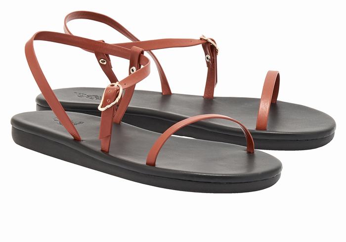 Dark Brown Ancient Greek Sandals Niove Women Back-Strap Sandals | FMW9090DY