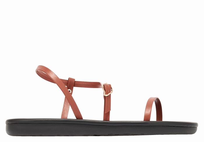 Dark Brown Ancient Greek Sandals Niove Women Back-Strap Sandals | FMW9090DY