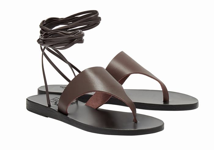 Dark Brown Ancient Greek Sandals Nychta Leather Women Gladiator Sandals | CDL366IM