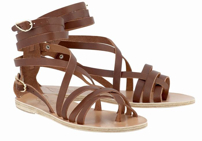 Dark Brown Ancient Greek Sandals Satira Leather Women Gladiator Sandals | LBX9785RN