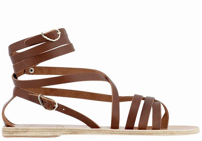 Dark Brown Ancient Greek Sandals Satira Leather Women Gladiator Sandals | LBX9785RN