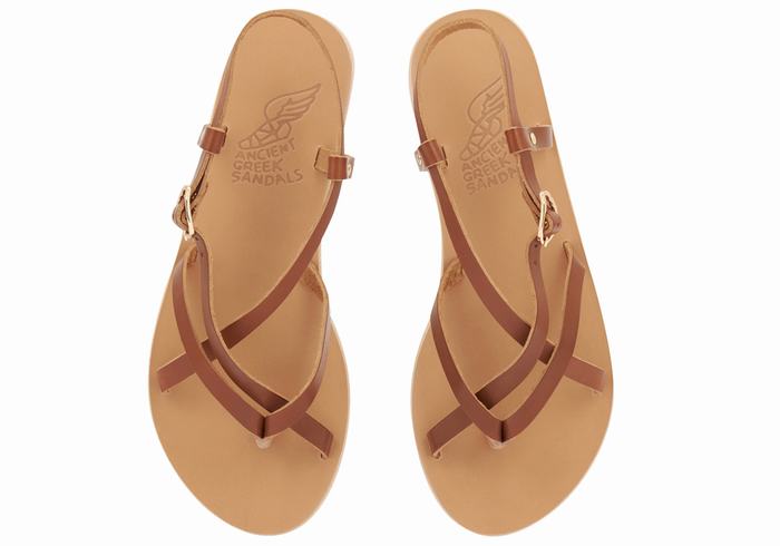 Dark Brown Ancient Greek Sandals Semele Leather Women Back-Strap Sandals | FJT8288RK