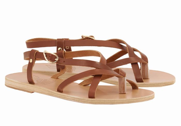 Dark Brown Ancient Greek Sandals Semele Leather Women Back-Strap Sandals | FJT8288RK