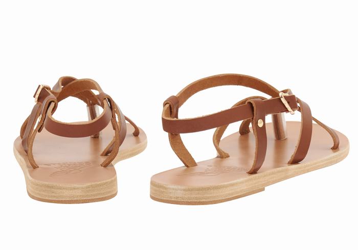 Dark Brown Ancient Greek Sandals Semele Leather Women Back-Strap Sandals | FJT8288RK