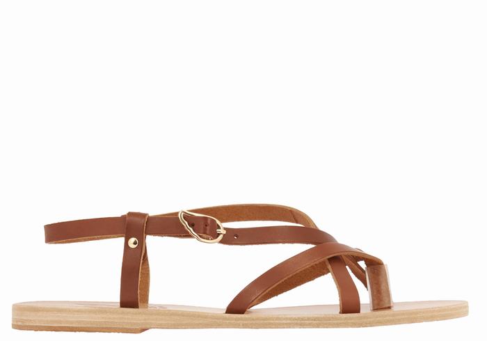 Dark Brown Ancient Greek Sandals Semele Leather Women Back-Strap Sandals | FJT8288RK