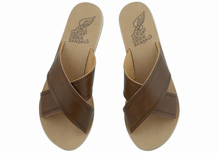 Dark Brown Ancient Greek Sandals Thais Women Slide Sandals | DZM1359MA